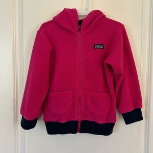 Patagonia kids hooded zipper jacket